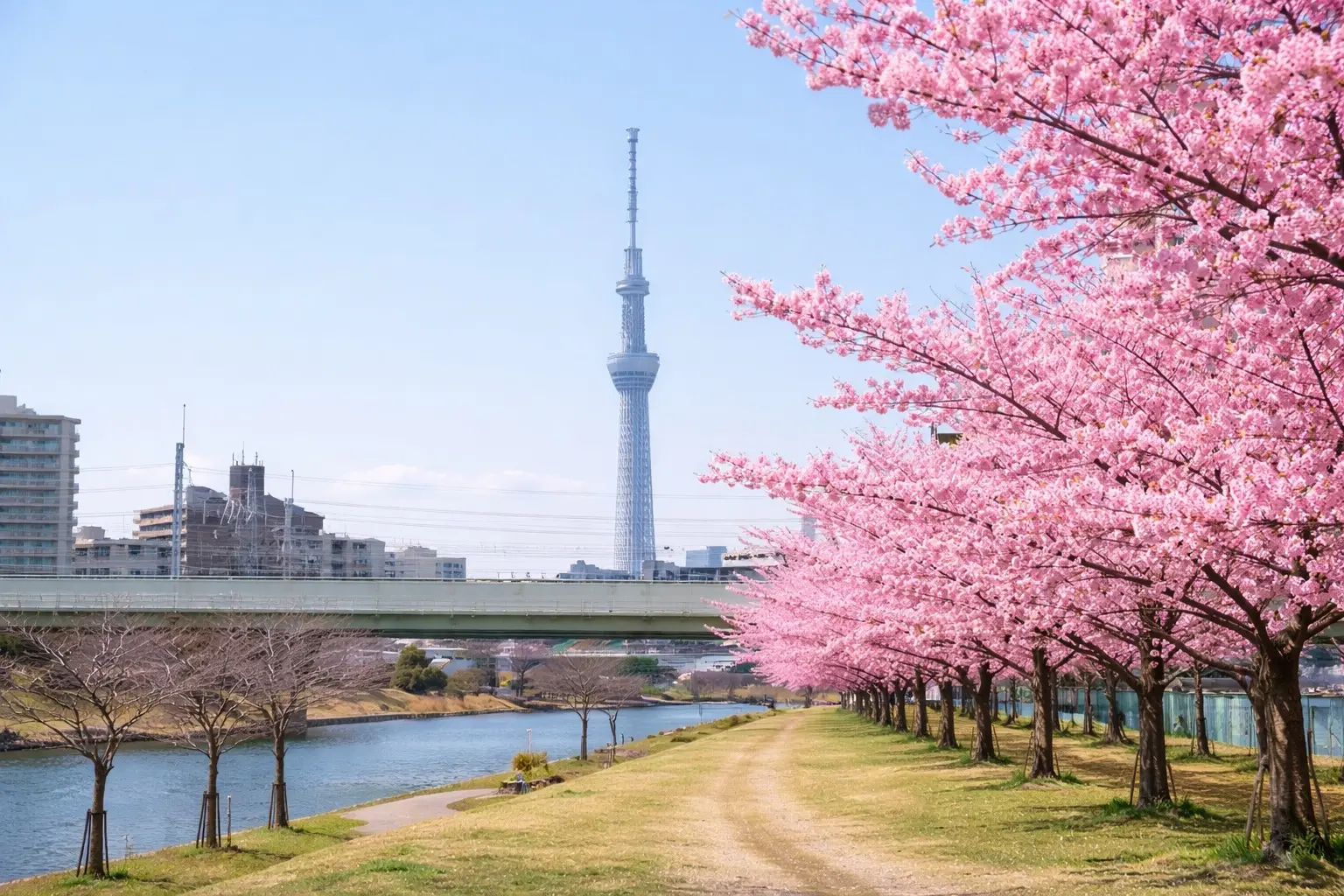 イベントグループイメージ画像