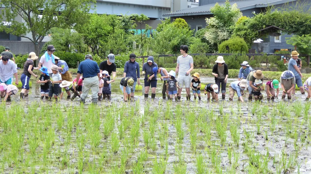 イベントグループイメージ画像