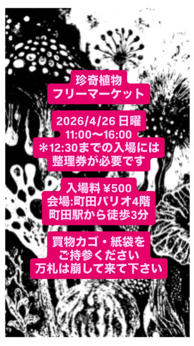 イベントイメージ画像